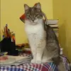 Отзыв от Анфиса Афанасьева
